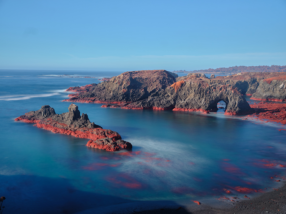 Mendocino Headlands small